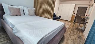 89 Apart Lux Fundeni 2 - 6