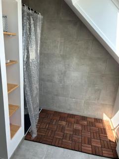 Large house with pool, spa and park - 4