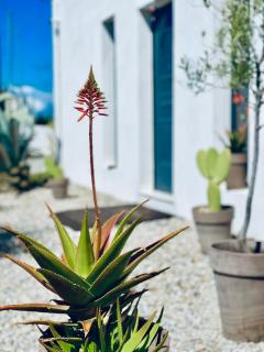 Soulbreeze Bungalows Kos, Haus 1 - 2