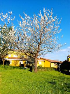 APARTAMENTOS MARIAJE - Barro de Llanes - 7