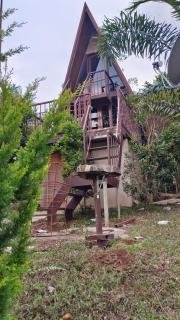 Algohuts - Anachal - 3