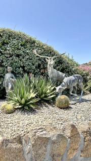 Villa Blu Reale - Cannigione - 4