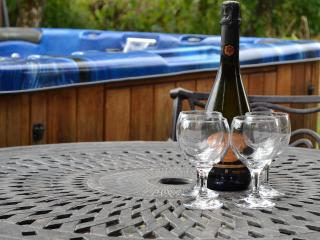 Edw Lodge - Aberedw - 4