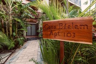 Alberca privada, Cenote, Casa báalam Tulum - Tulum - 1