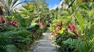 Alberca privada, Cenote, Casa báalam Tulum - Tulum - 2