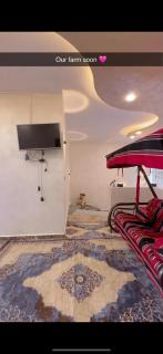 اربد طريق البترول دبج مول - Irbid - 7