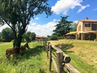 Agriturismo Il Colle del Falco - - 0