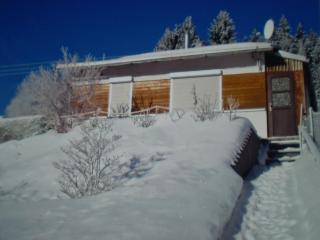 Holiday home in Thuringia - Neuhaus am Rennweg - 0