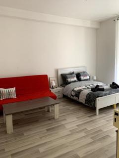 Grand appartement proche centre et tram - Mulhouse - 0