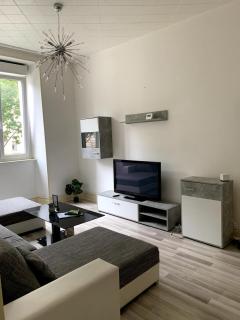 Grand appartement proche centre et tram - Mulhouse - 6