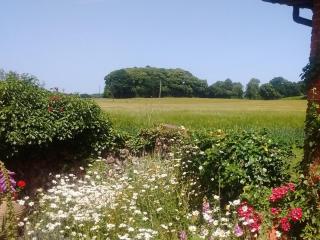 Elm Tree Barn - Felmingham - 9