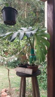 Casa Container na mata atlântica - 4