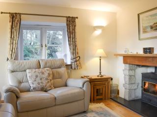Wren Cottage - Goodrich - 9