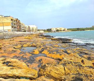 South32 Hotel - Birżebbuġa - 7