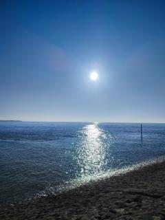 la détente - Berck-sur-Mer - 7