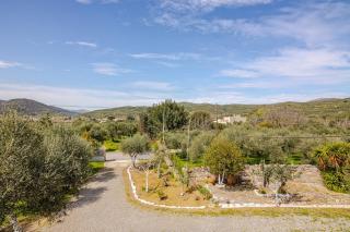 Petras House tennis experience in olives - Avdou - 2