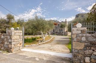 Petras House tennis experience in olives - Avdou - 3