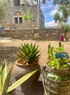 Petras House tennis experience in olives - Avdou - 7