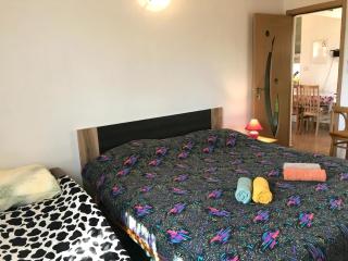 Schöne Wohnung In Babići Mit Kleiner Terrasse - Umag - 8