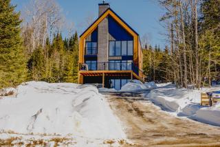 Delarose Cottage, Ski, Spa, pool table & starry night - 9