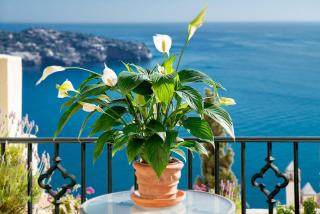Ferienhaus In Almuñécar Mit Terrasse Und Meerblick - La Herradura - 2