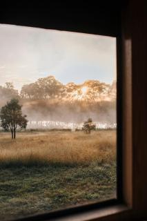 Lakeside Off-Grid Cabin - Pet Friendly - Freja - 5