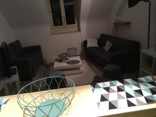 Charmant appartement Centre ville - Orléans - 5