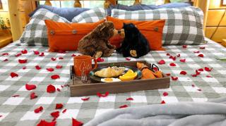 Enchanted Romance - Private, Heart Shaped Tub, Hot tub, Fireplace, & Arcade! - Sevierville - 9