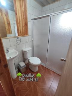 Cabañas Dos Laureles - Coñaripe - 5