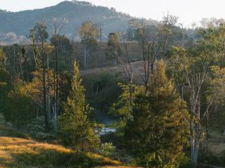 Off-Grid Cabin Nestled in Nature - Pet Friendly - Dawn - Barrington - 3