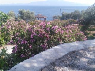 Assos Sivrice Deveboyun Misafir Evi - Ayvacık - 6