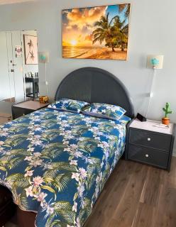 Renovated Studio Free Parking in Prime Waikiki - Honolulu - 6