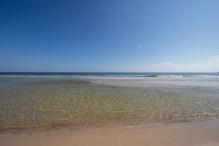 Plantation Dunes #5810 - Gulf Highlands - 1