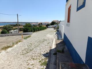 Seesterne - Estrela - 9