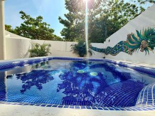 Casa Sarvelia, Punta Zicatela - Brisas de Zicatela - 1