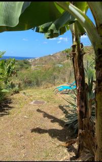 T2 Rez de jardin vue mer - Le Carbet - 3