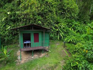Río Verde Ecolodge - Puerto Jiménez - 6