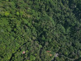 Río Verde Ecolodge - Puerto Jiménez - 7