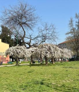 Historic City Center flat- Duomo 10m-M4 Vetra - Milan - 4