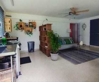 A unique oasis nestled in the heart of the city - 5