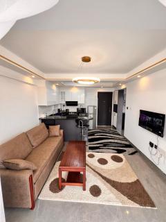 Kenya Perfect Homes ALINA RIDGE APARTMENT - Nairobi - 1