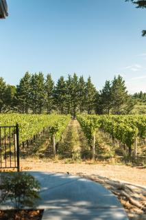 KANZLER Vineyard House with Hot Tub & Pool - Sebastopol - 3