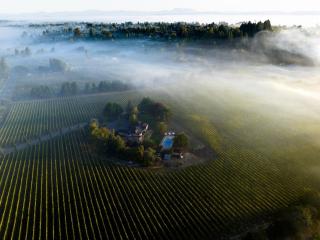 KANZLER Vineyard House with Hot Tub & Pool - Sebastopol - 4