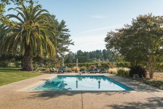 KANZLER Vineyard House with Hot Tub & Pool - Sebastopol - 9