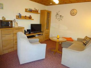 Holiday home by the forest - Olbernhau - 9