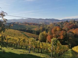 Ferienwohnungen Kumpitsch am Poharnigberg - Eorykogel - 8
