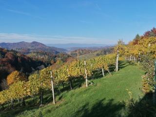 Ferienwohnungen Kumpitsch am Poharnigberg - Leutschach - 7