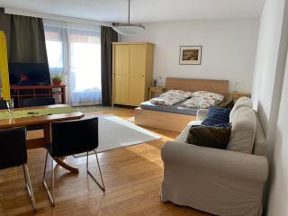Apartment Grazbachgasse - gratis Tiefgaragenplatz - Graz - 0