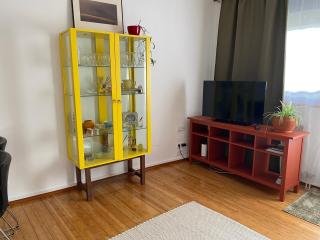 Apartment Grazbachgasse - gratis Tiefgaragenplatz - Graz - 8