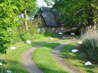 Thatchdachkate Sillenserwisch - 5